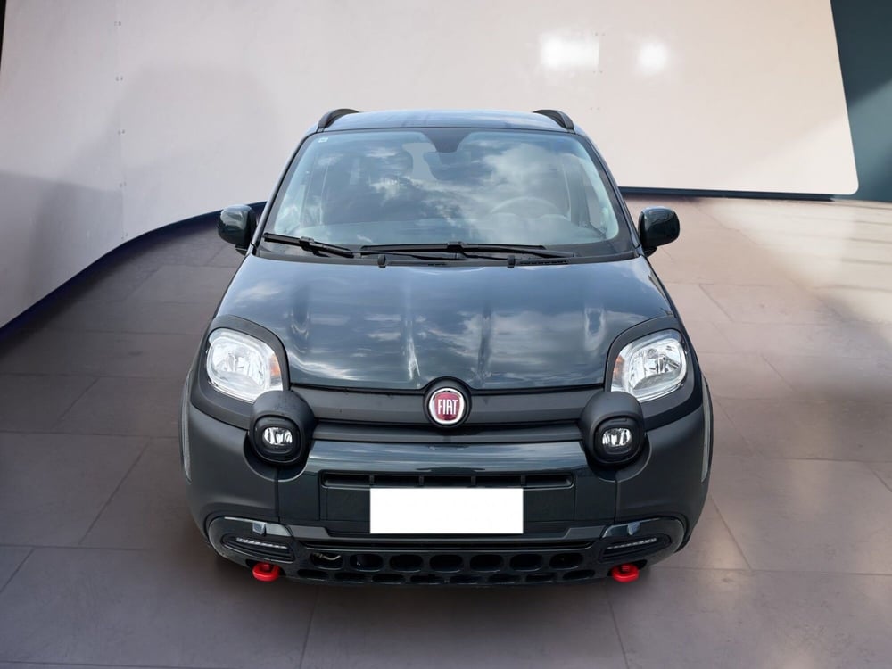 Fiat Panda Cross usata a Torino