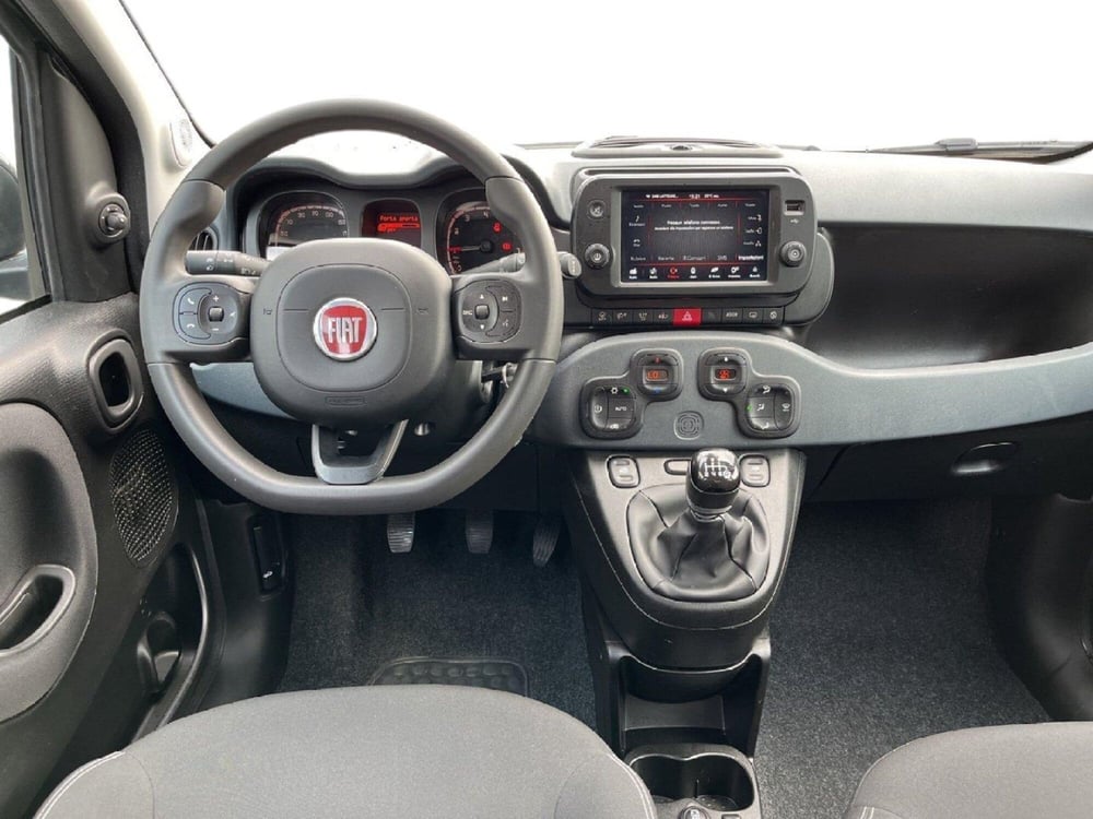 Fiat Panda Cross usata a Torino (11)