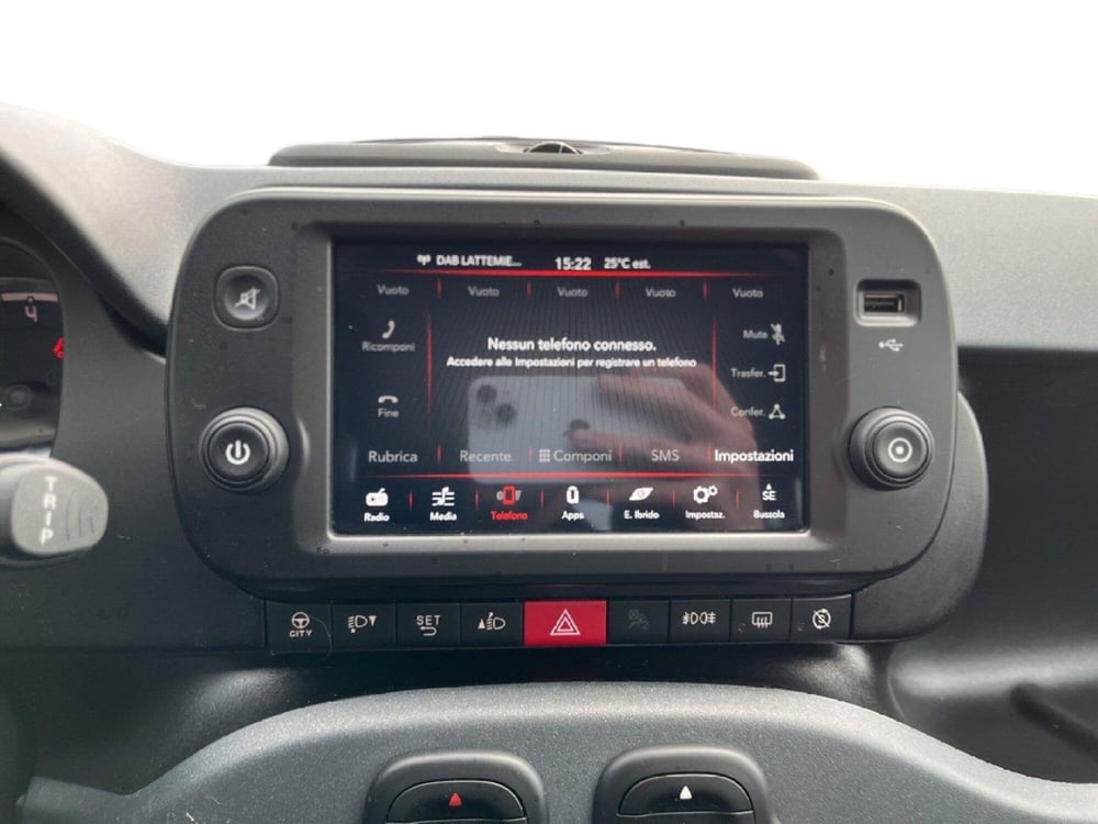 Fiat Panda Cross usata a Torino (14)