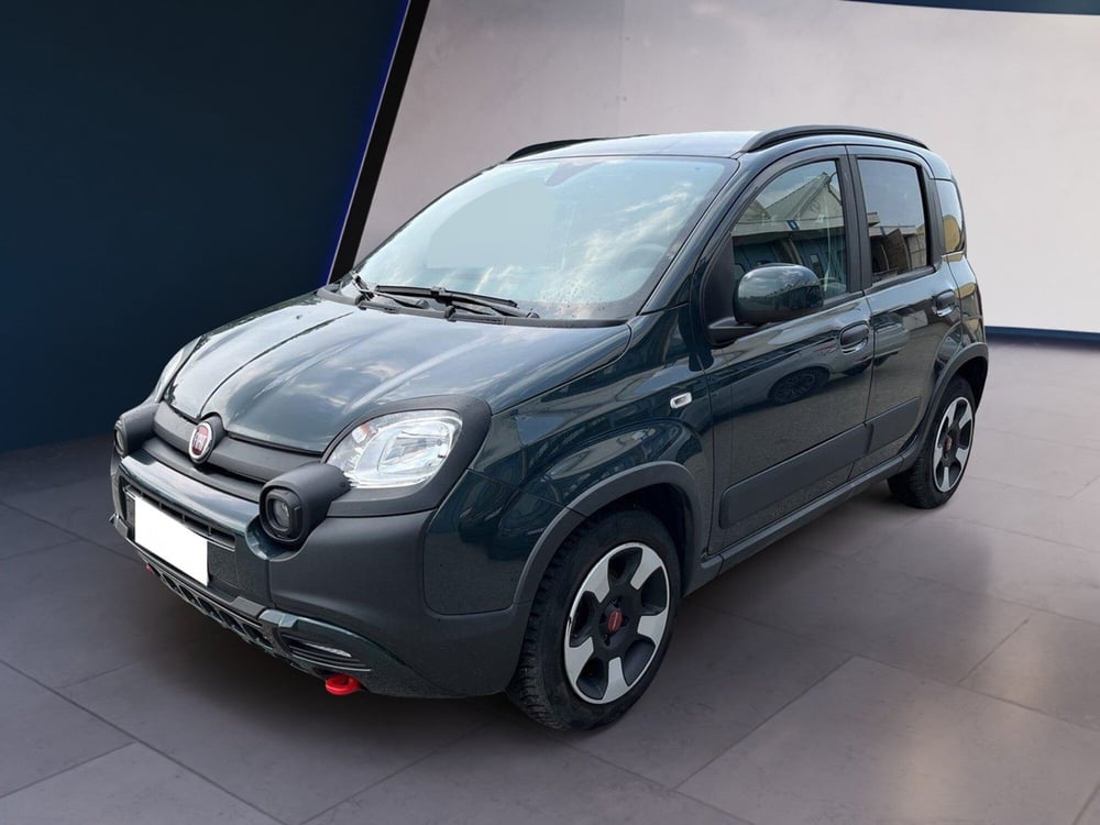 Fiat Panda Cross usata a Torino (2)
