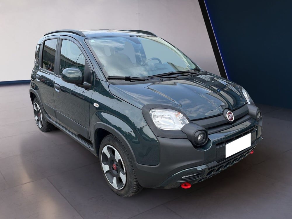 Fiat Panda Cross usata a Torino (3)