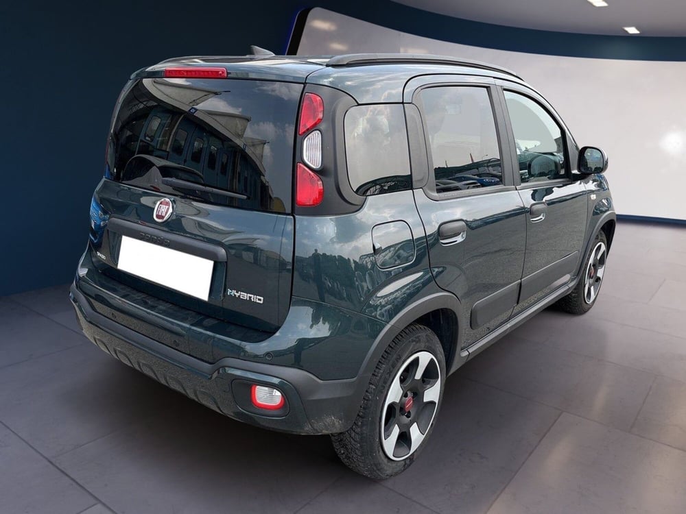 Fiat Panda Cross usata a Torino (4)