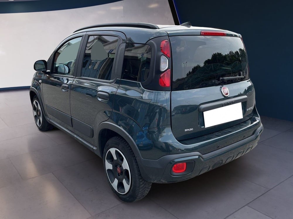 Fiat Panda Cross usata a Torino (5)