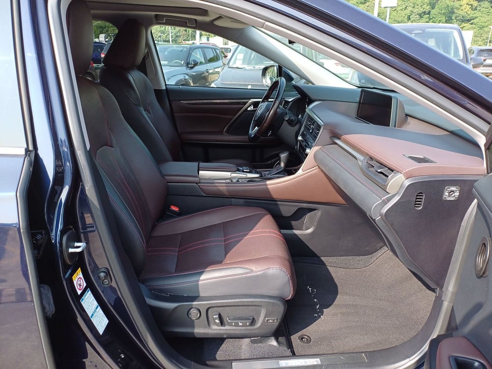 Lexus RX usata  (11)
