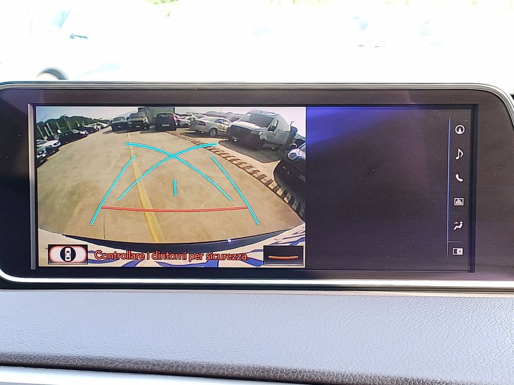 Lexus RX usata  (13)