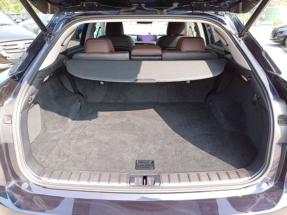 Lexus RX usata  (14)