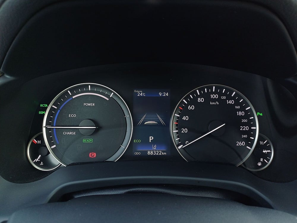 Lexus RX usata  (15)
