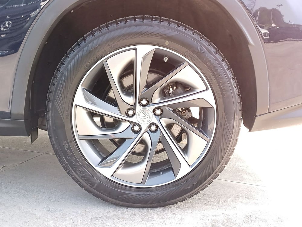 Lexus RX usata  (16)