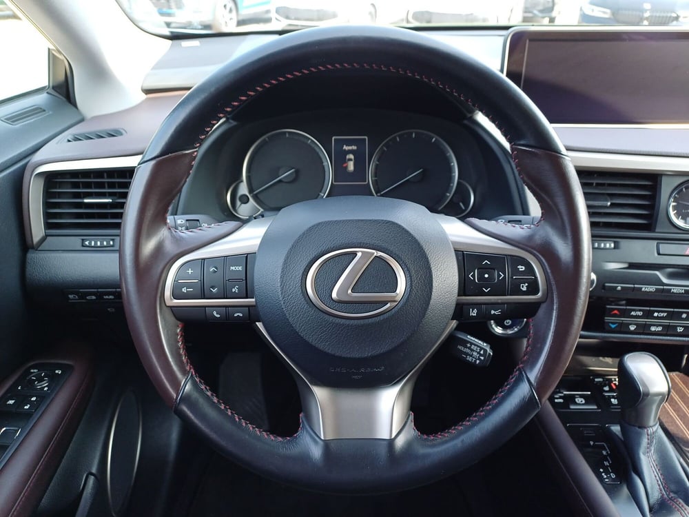 Lexus RX usata  (17)