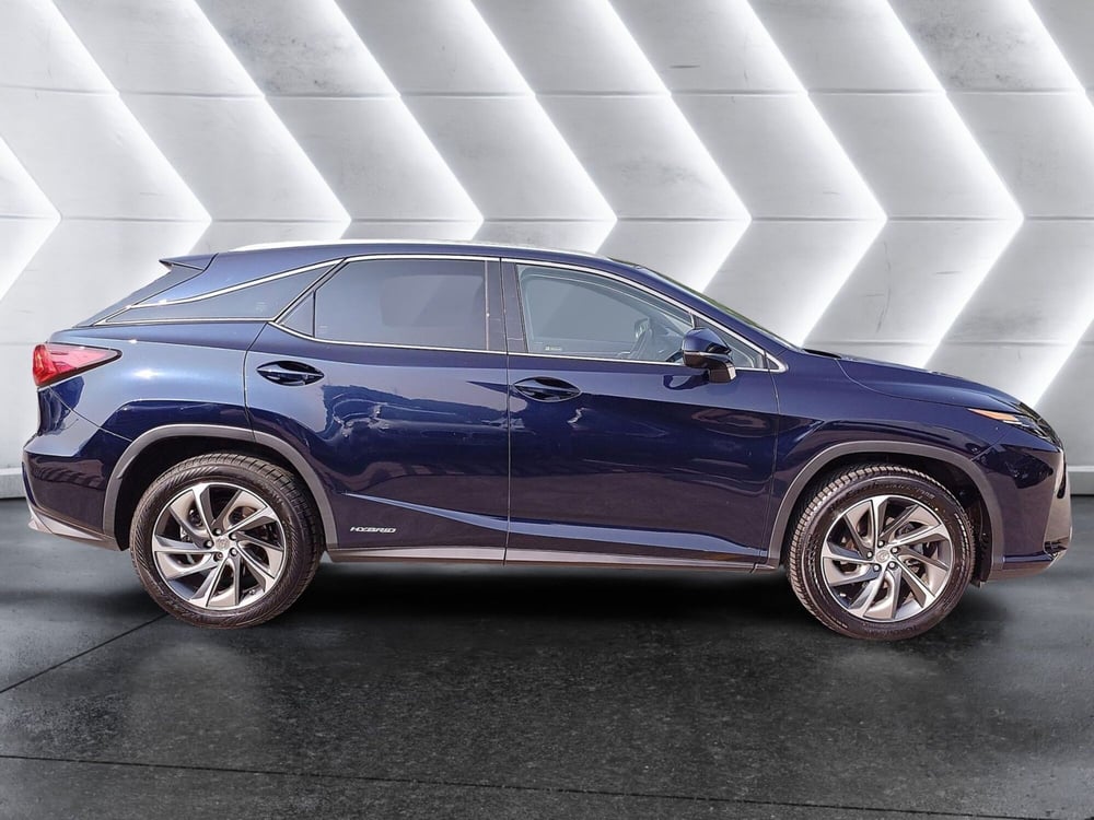 Lexus RX usata  (5)