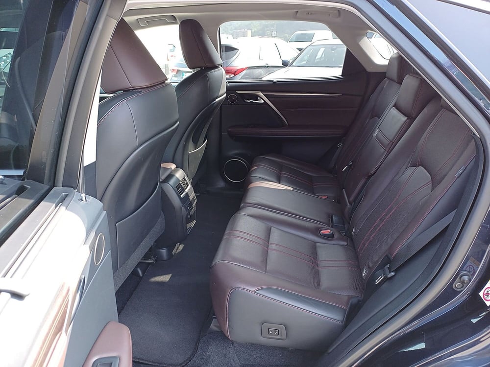Lexus RX usata  (8)