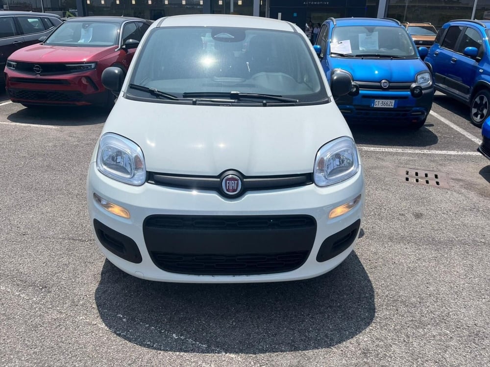 Fiat Panda Cross nuova a Milano (2)