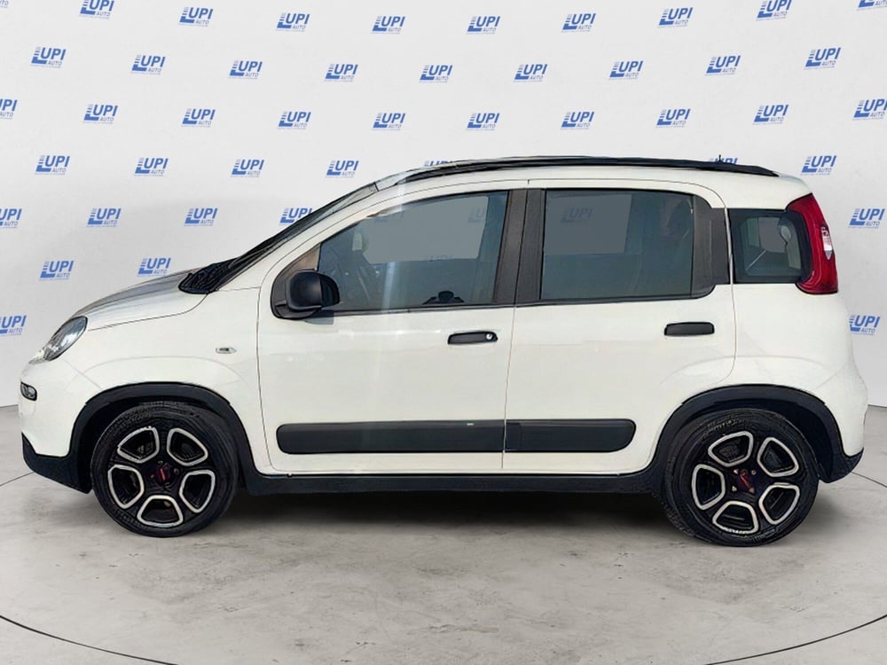 Fiat Panda usata a Firenze (2)