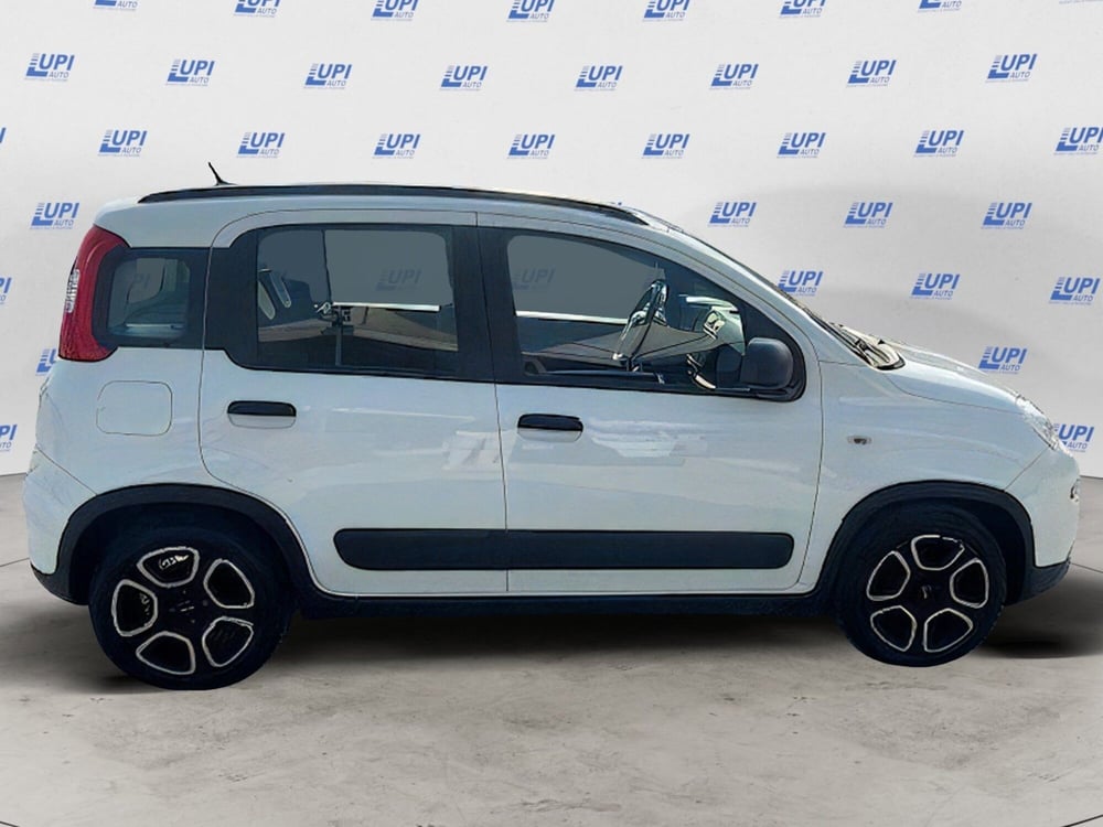 Fiat Panda usata a Firenze (6)