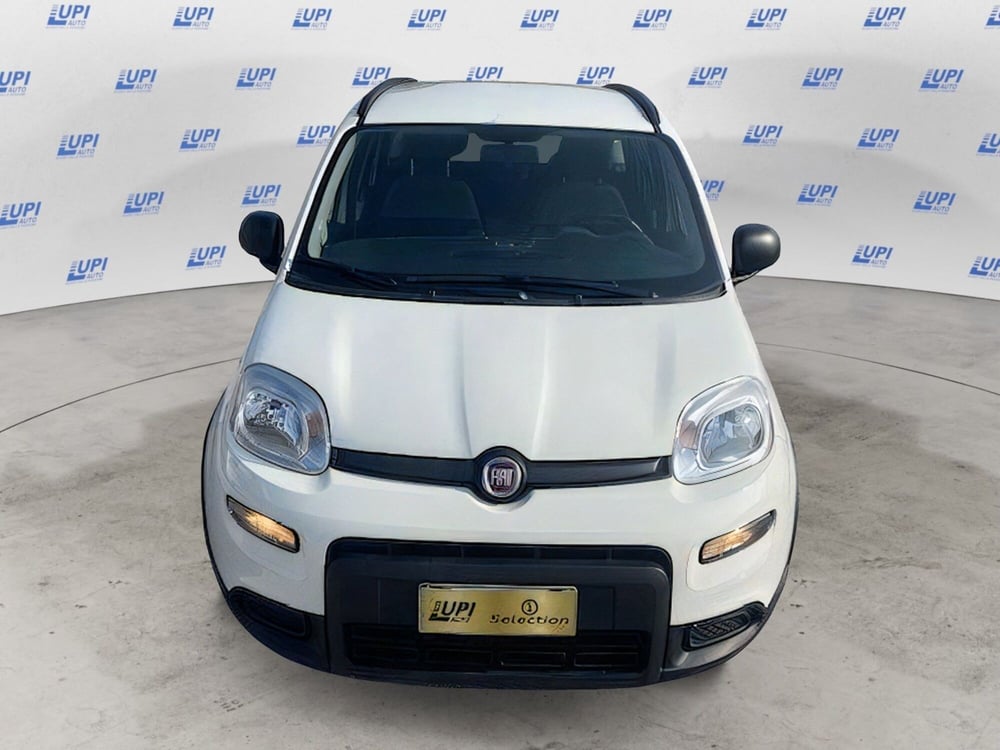 Fiat Panda usata a Firenze (8)