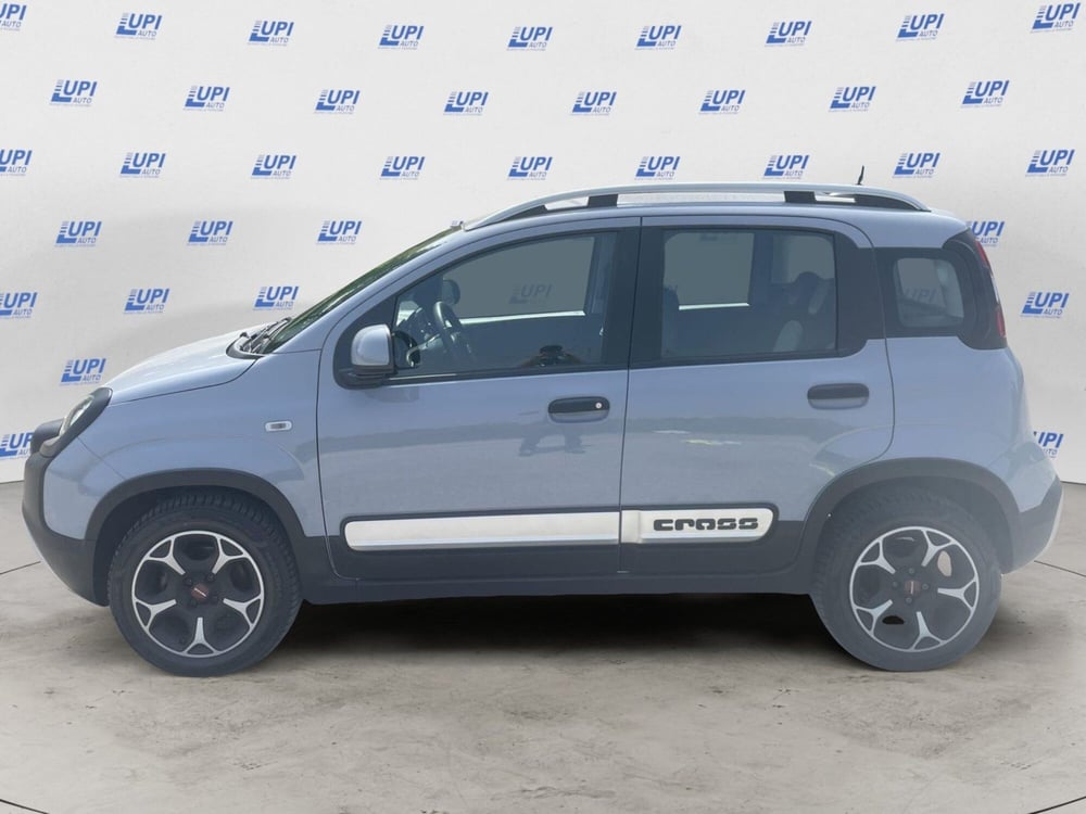 Fiat Panda Cross usata a Pistoia (2)
