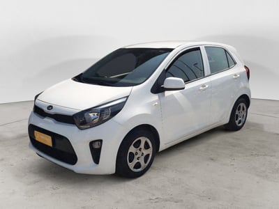 Kia Picanto 1.0 12V EcoGPL 5 porte Active del 2020 usata a Campobasso