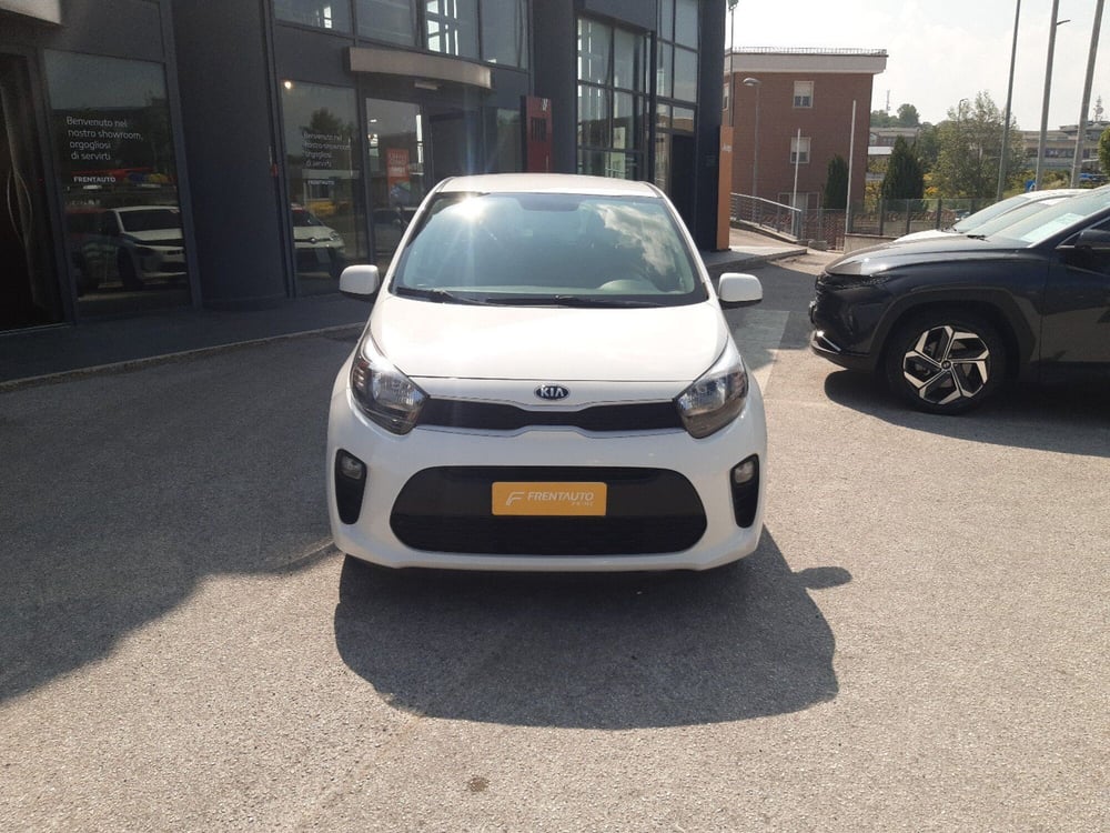 Kia Picanto usata a Campobasso (5)