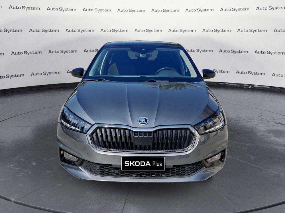 Skoda Fabia usata a Palermo (2)
