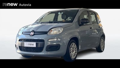 Fiat Panda 1.0 firefly hybrid s&amp;s 70cv 5p.ti del 2021 usata a Belpasso