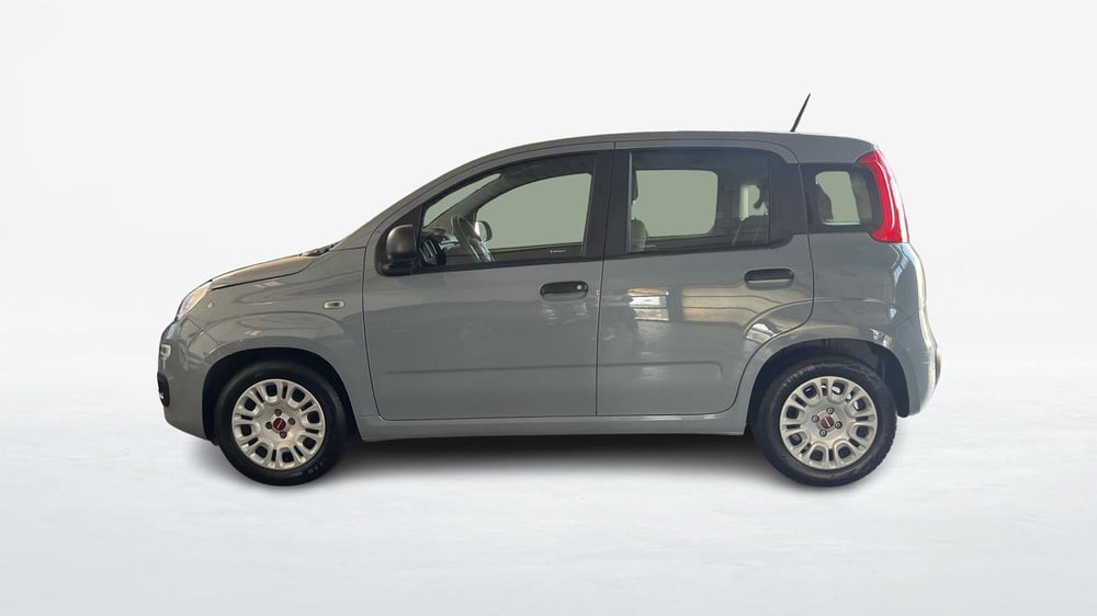 Fiat Panda usata a Catania (3)