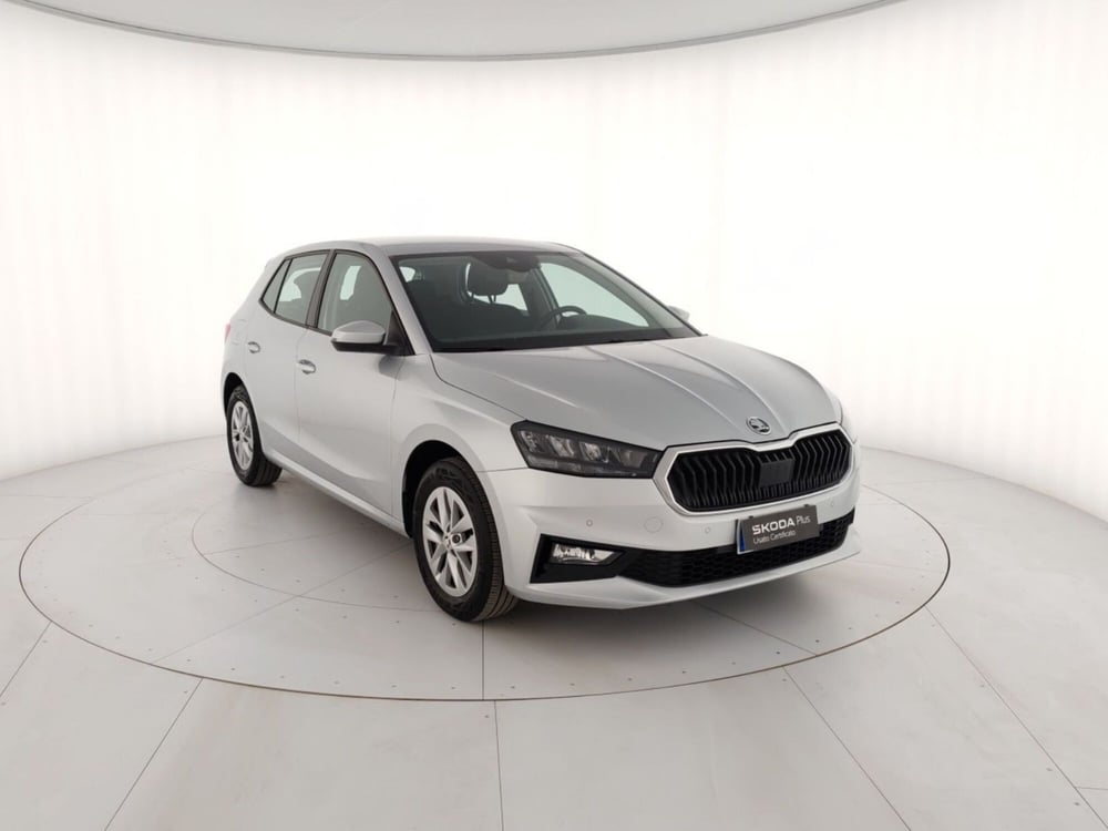 Skoda Fabia usata a Massa-Carrara (4)