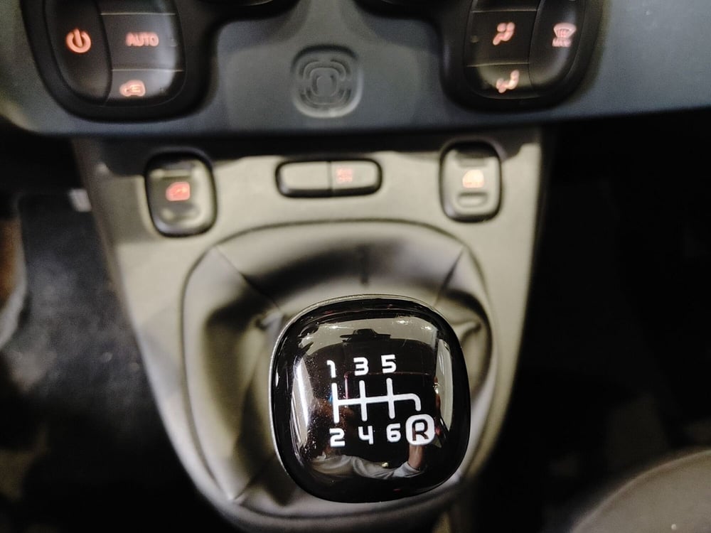 Fiat Panda Cross usata a Vercelli (12)