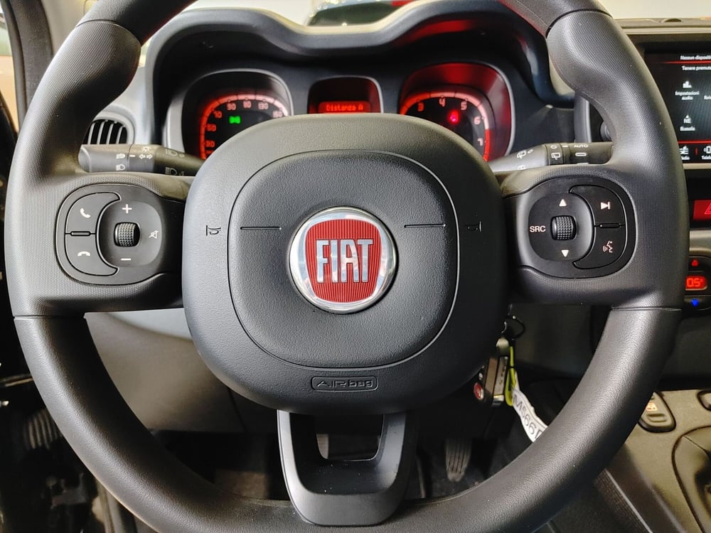 Fiat Panda Cross usata a Vercelli (13)