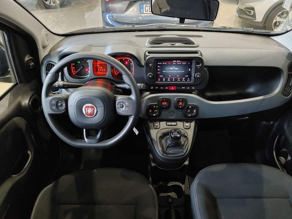 Fiat Panda Cross usata a Vercelli (9)