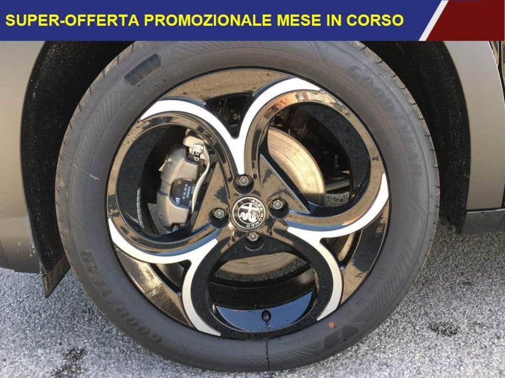 Alfa Romeo Junior nuova a Cuneo (5)