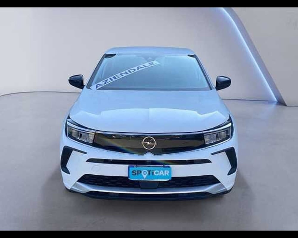 Opel Grandland usata a Cremona (2)