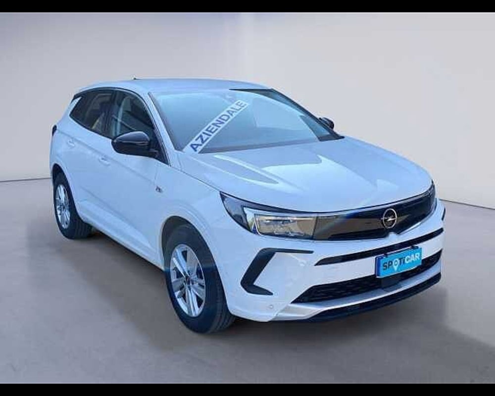 Opel Grandland usata a Cremona (3)