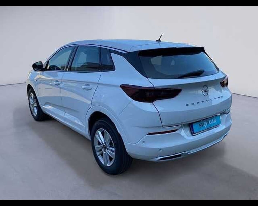 Opel Grandland usata a Cremona (5)