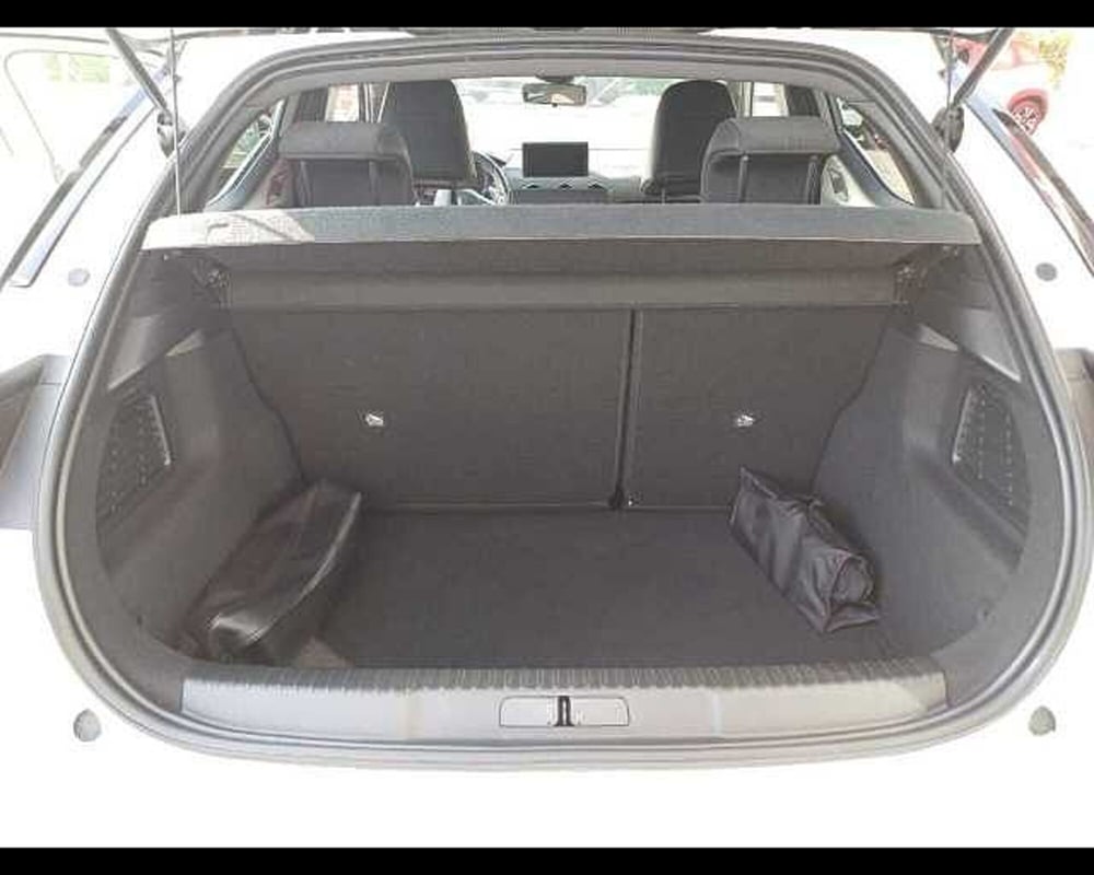 Ds DS 3 usata a Venezia (18)