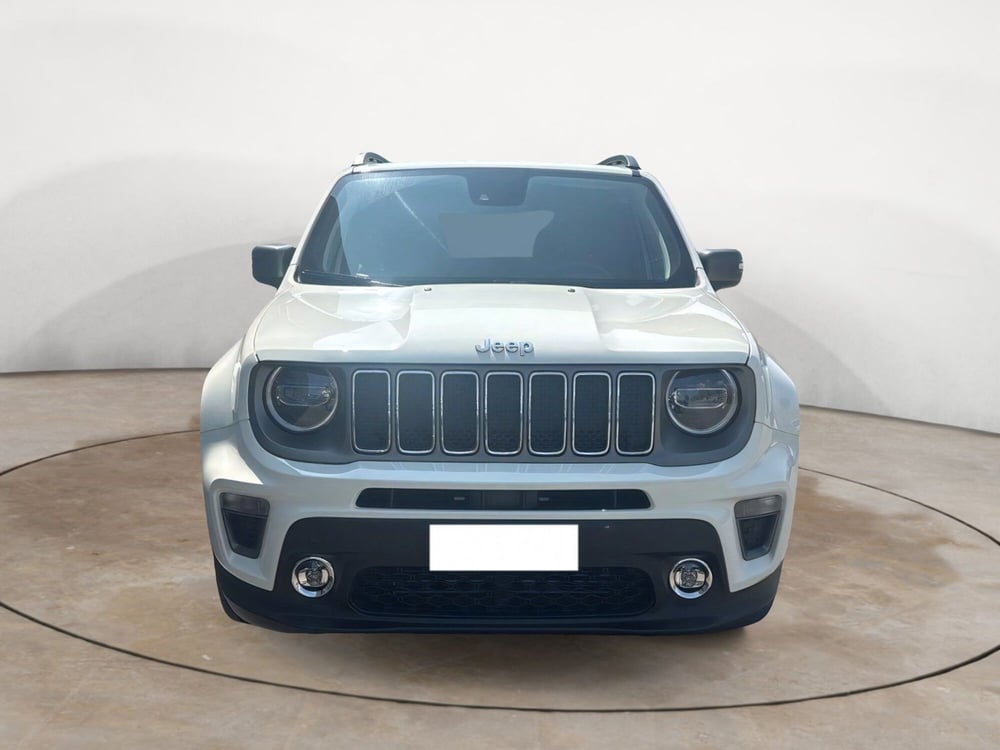 Jeep Renegade usata a Terni (2)