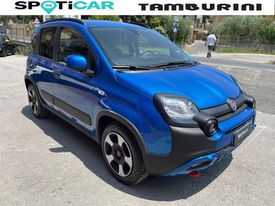 Fiat Panda Cross Cross 1.0 FireFly S&amp;S Hybrid del 2024 usata a Cortona