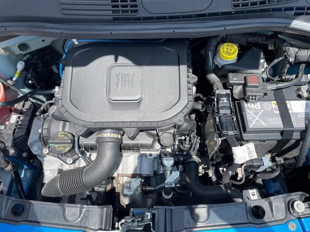 Fiat Panda Cross usata a Arezzo (20)