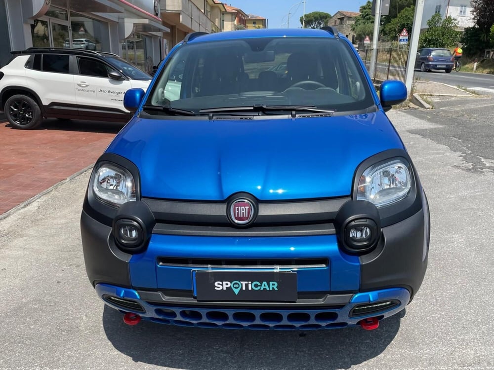 Fiat Panda Cross usata a Arezzo (3)