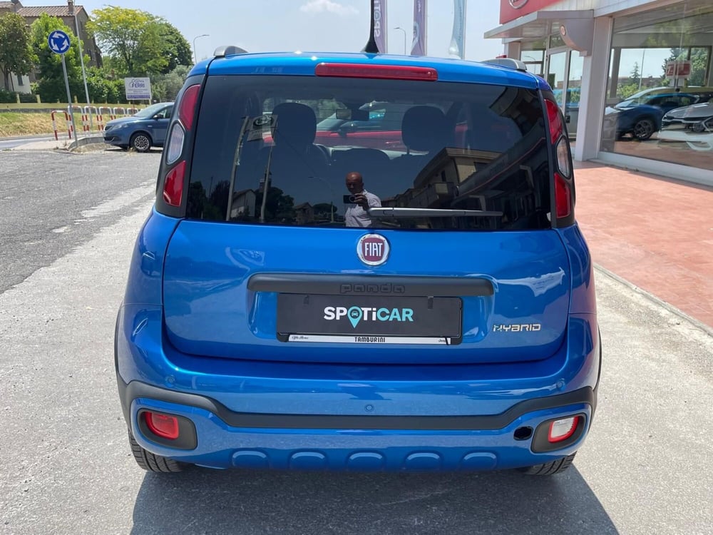 Fiat Panda Cross usata a Arezzo (6)