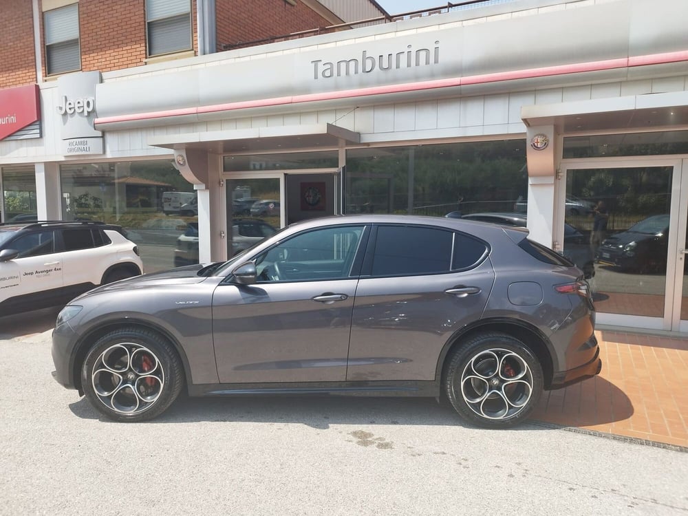 Alfa Romeo Stelvio usata a Arezzo (5)