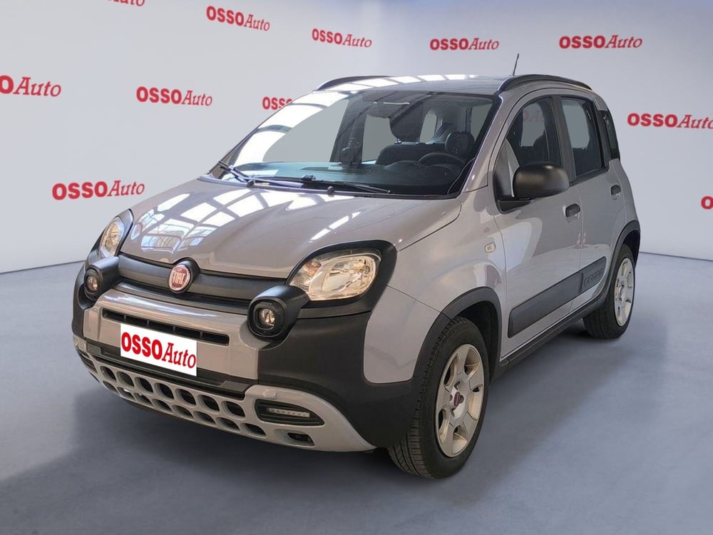 Fiat Panda Cross usata a Udine