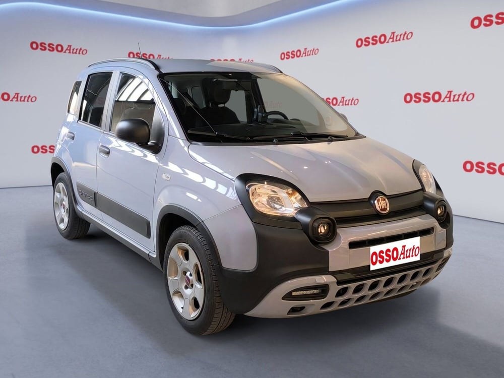 Fiat Panda Cross usata a Udine (2)