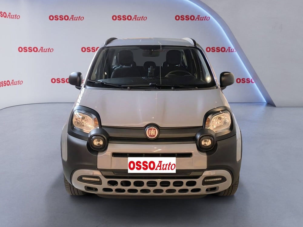 Fiat Panda Cross usata a Udine (5)