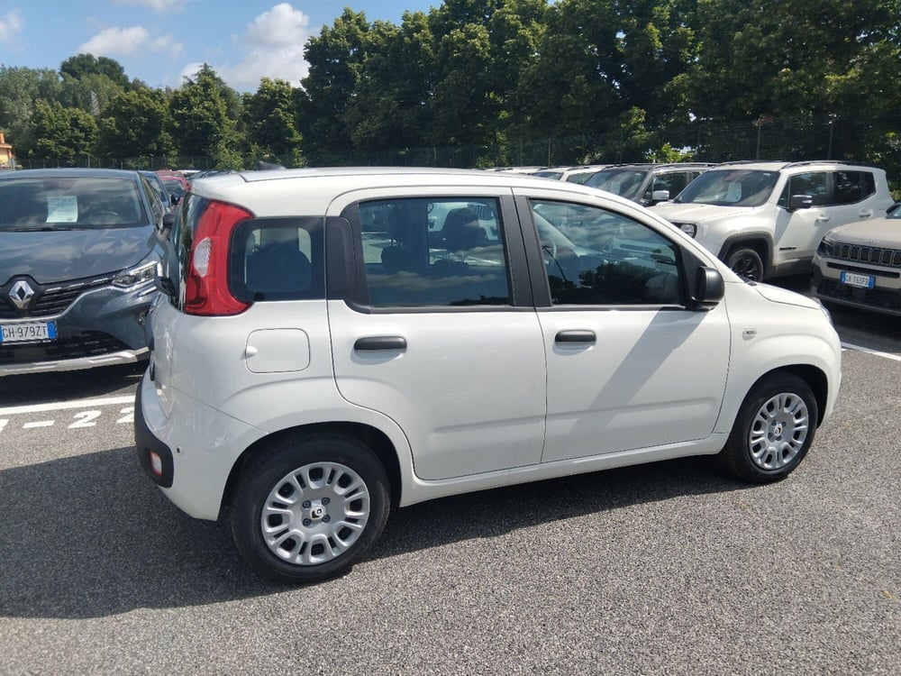 Fiat Panda nuova a Latina (6)