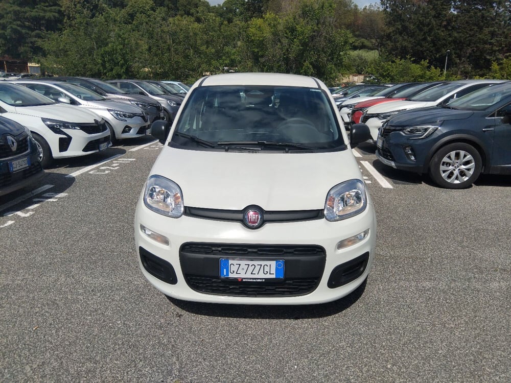 Fiat Panda nuova a Latina (7)