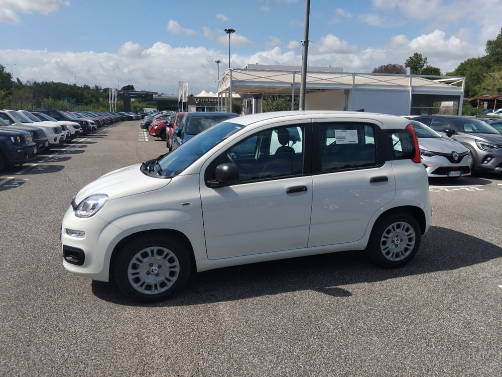 Fiat Panda nuova a Latina (8)