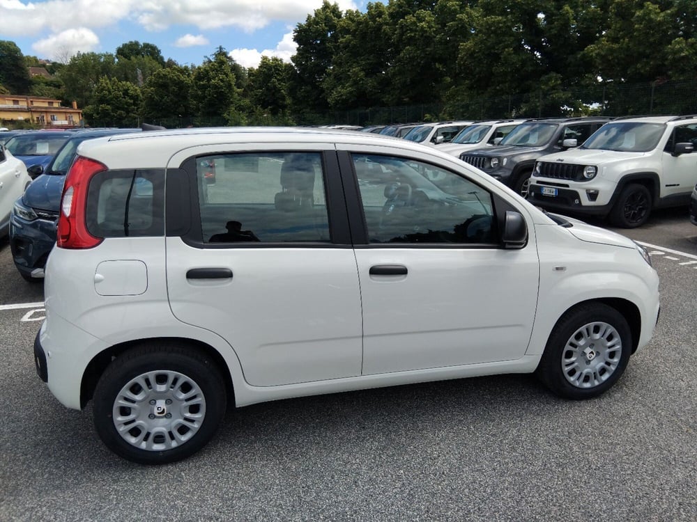Fiat Panda nuova a Latina (6)