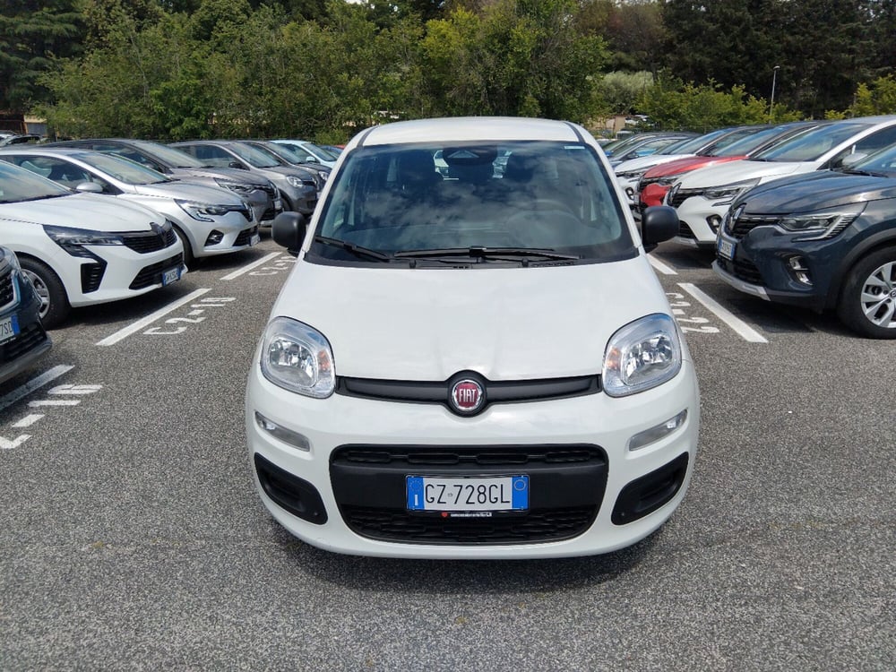 Fiat Panda nuova a Latina (7)