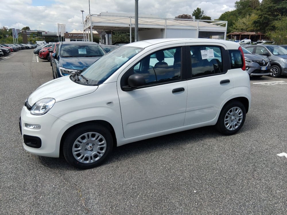 Fiat Panda nuova a Latina (8)