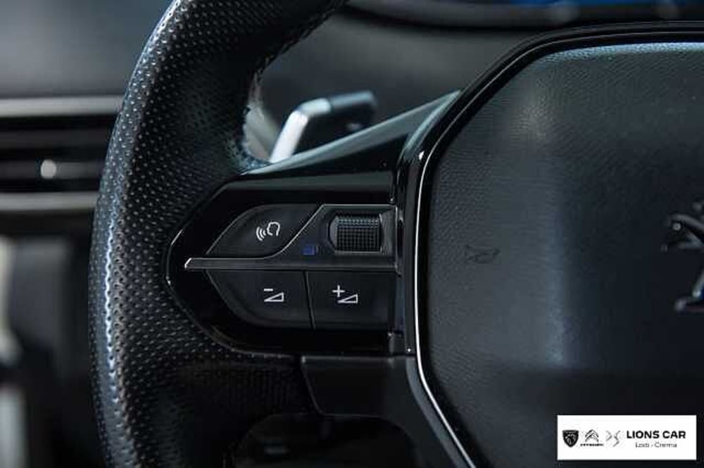 Peugeot 3008 usata a Lodi (13)